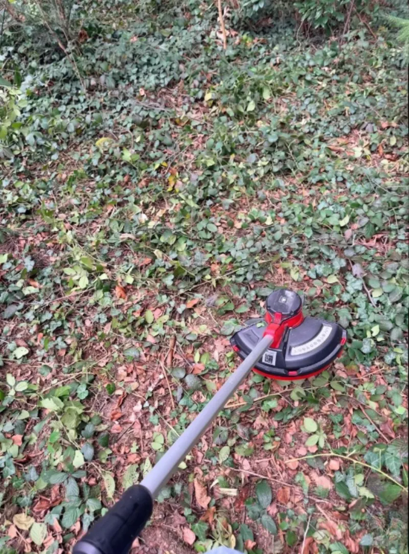 Foto profilo di Andrea P., cliente verificato di Bologna che ha recensito HyperTrimmer 3000